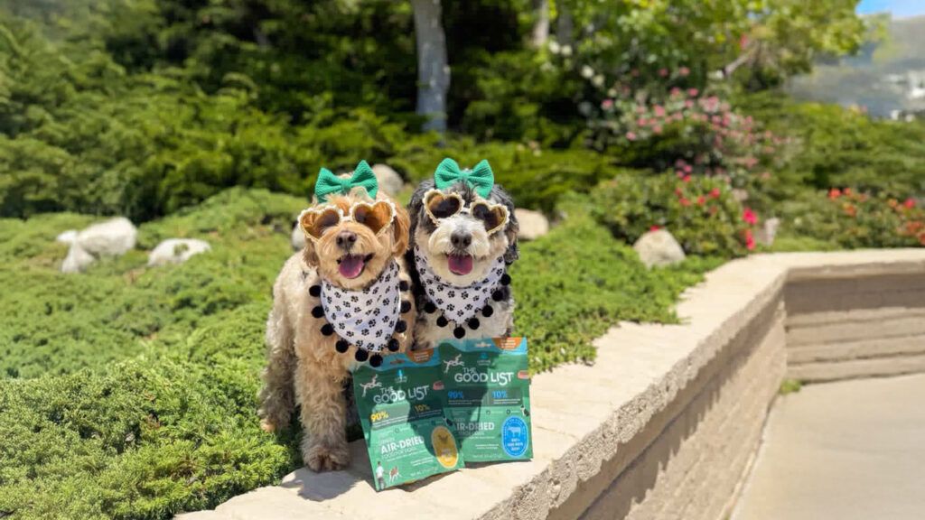 Good list and dogs with sunglasses