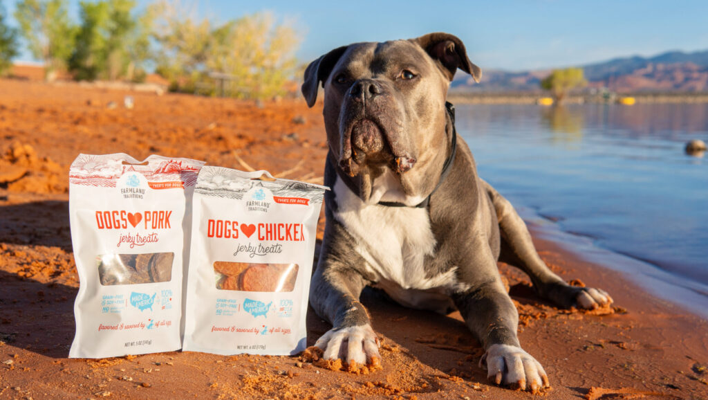 Image of dog outside by a lake with Dogs Love Jerky treats