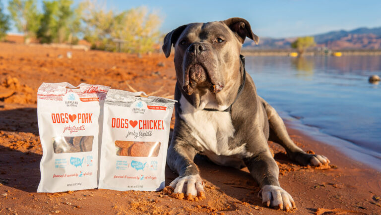 Image of dog outside by a lake with Dogs Love Jerky treats