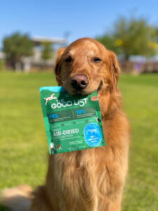 image of dog in park with the good list package in his mouth