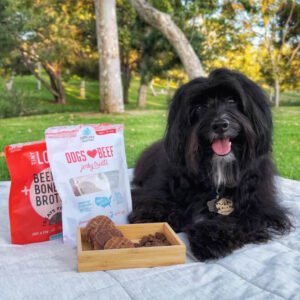image of dog with dogs love beef and tiny loves beef packaging and treats outside of package on a blanket in park