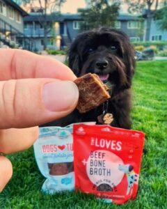 dog with image of tiny loves and dogs love jerky