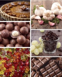 image of different foods that dogs should avoid