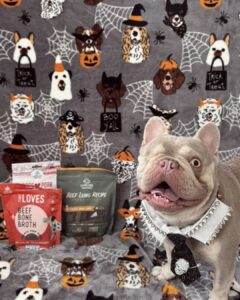image of dog dressed up with farmland traditions treats