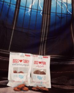 halloween image of dogs love jerky treats with festive background