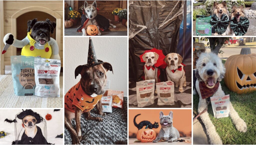 blog image featuring dogs in costumes with farmland traditions food and treats