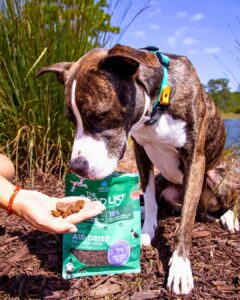 image of dog with the good list