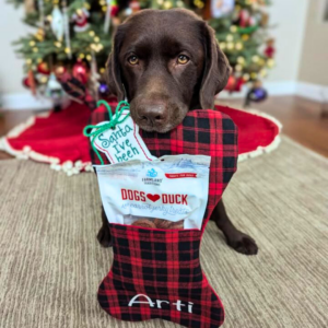dog with stocking and dogs love jerky inside
