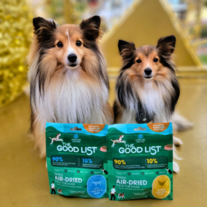 two dogs with the good list in holiday setting