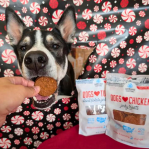 dogs in photoshoot with dogs love jerky