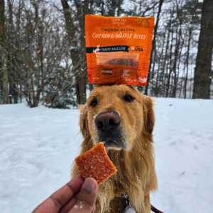 image of dog with simple snacks