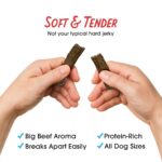 Dogs Love Beef - 100% Natural - soft and tender graphic