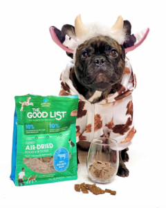 image of dog dressed up as cow with the good list packaging and food outside in cup
