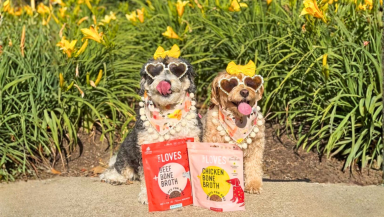 image of dogs with tiny loves treats outside in spring