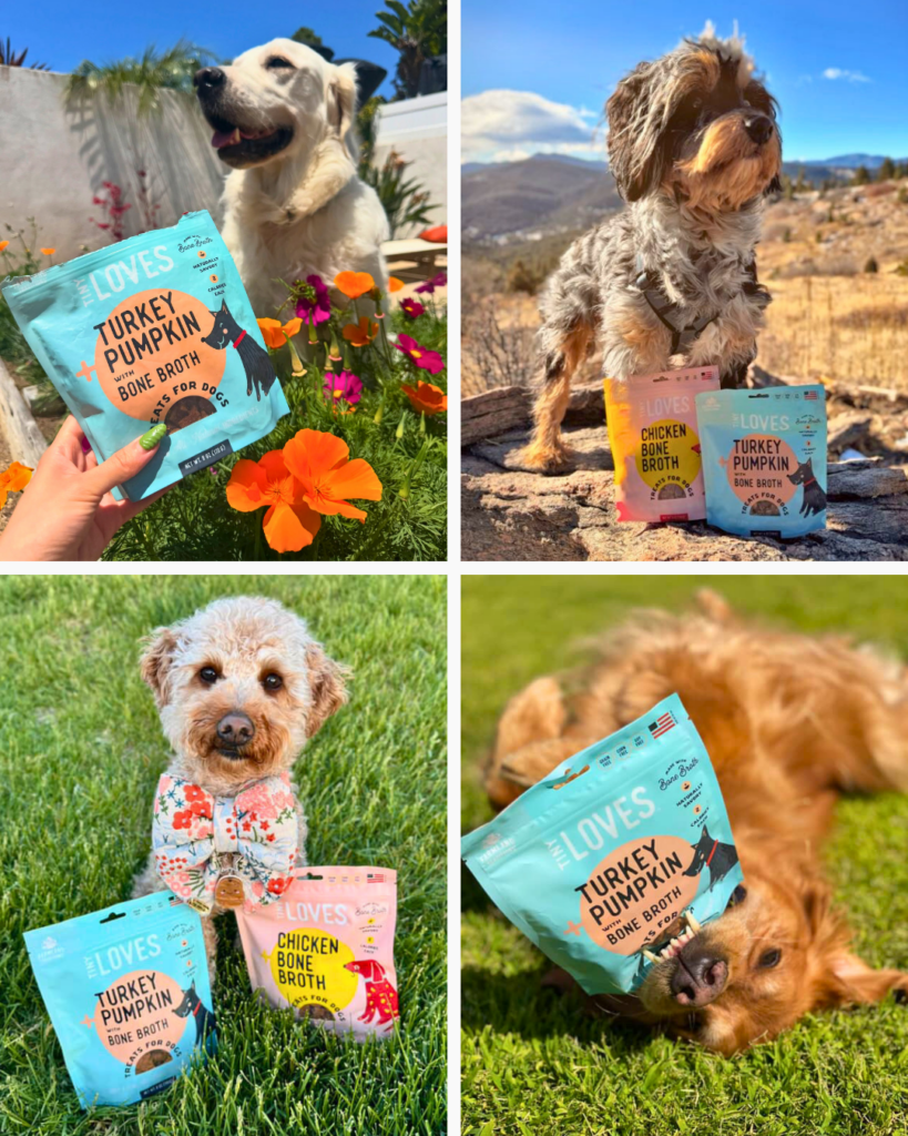 image of dogs with tiny loves in spring