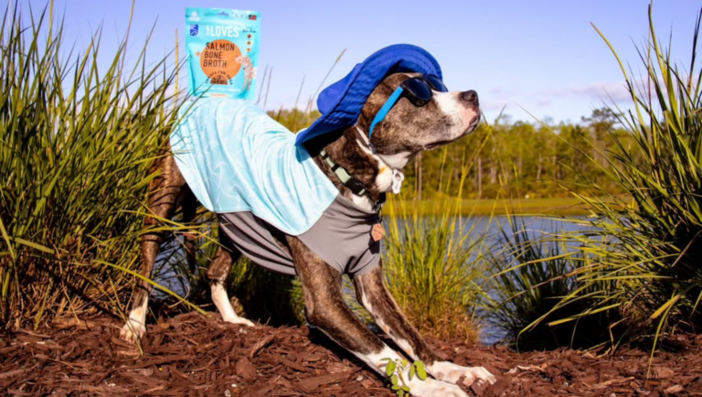 image of dog balancing tiny loves on his back