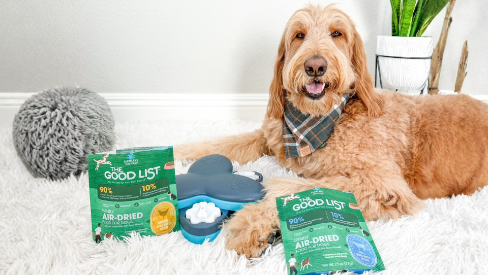 image of teddy inside with enrichment toys